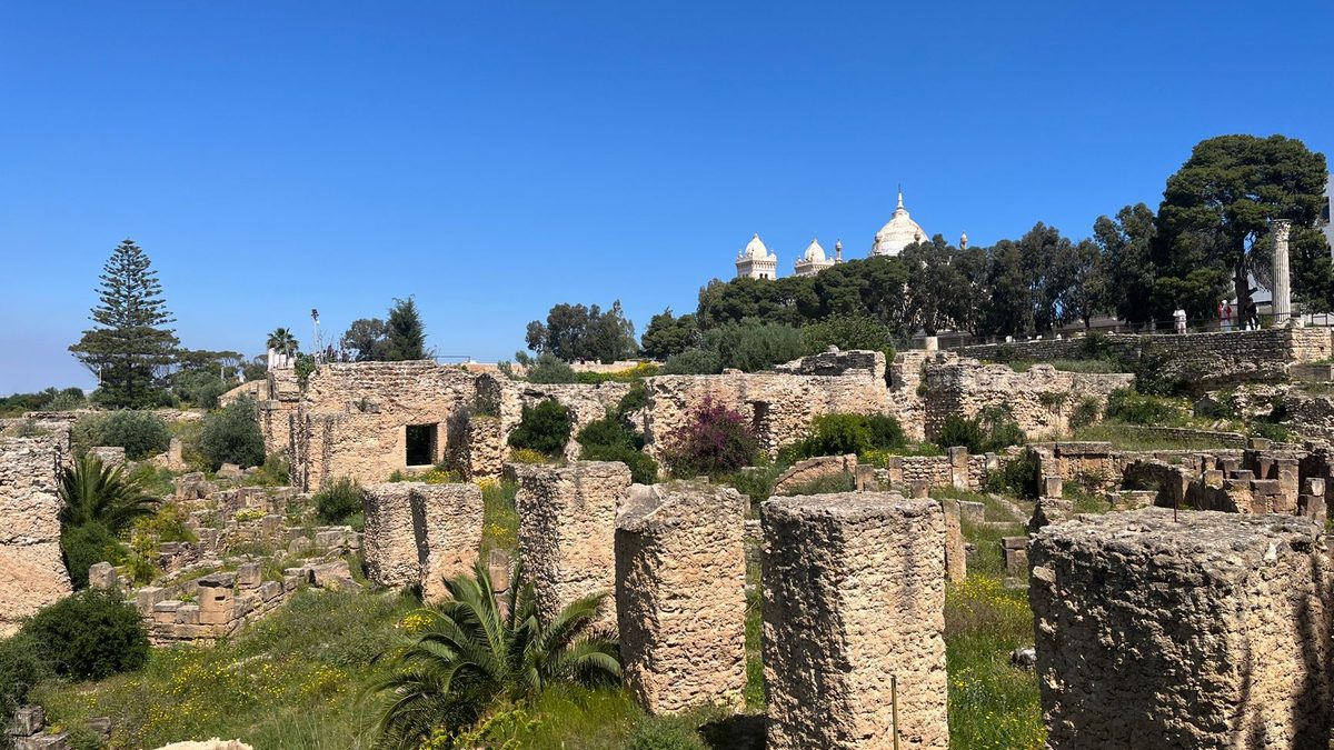 eSIM qui ne fonctionne pas en Tunisie ?