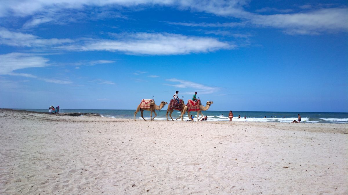 How much data for a week in Tunisia?