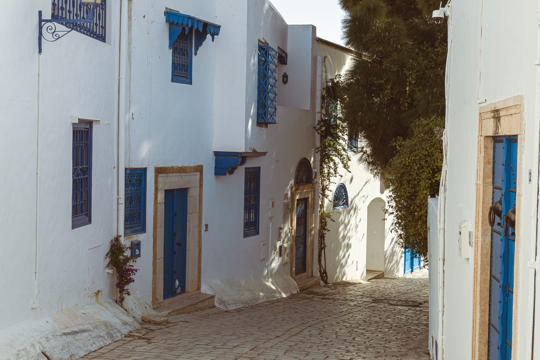 Visiter Sidi Bou Saïd : guide complet du village bleu et blanc