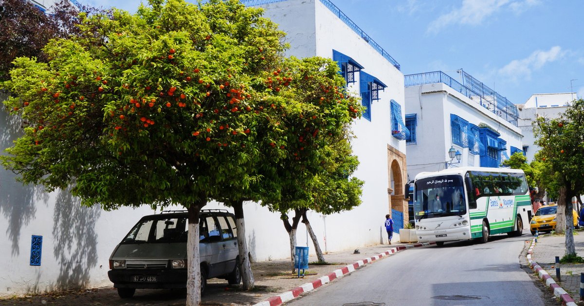 Kairouan : la ville sainte et sa Grande Mosquée – Guide complet